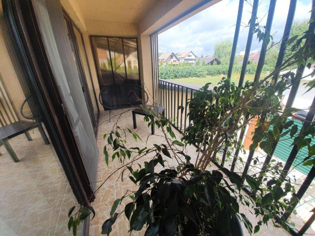 Pensiunea Relax Curtea De Arges Exterior photo